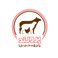 کد تخفیف undefined