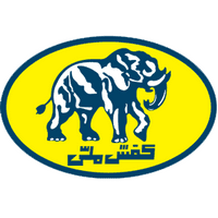 کد تخفیف کفش ملی