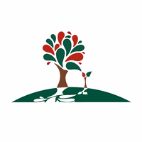 کد تخفیف آرمانی