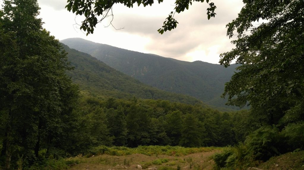 جنگل های سی سنگان بهترین گزینه برای سفرهای پاییزی