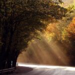 10 مقصد بی نظیر برای سفر در پاییز