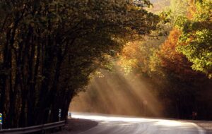 10 مقصد بی نظیر برای سفر در پاییز