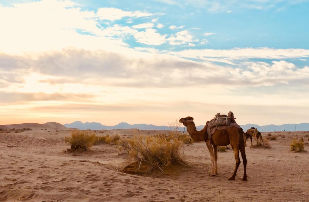 کویر مصر مقصدی بی نظیر برای سفرهای پاییزی